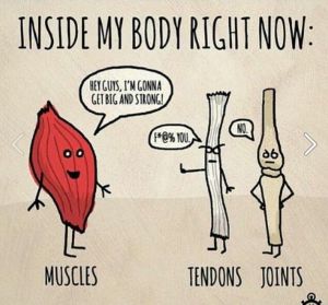 7ab499f61b1e5dee5fba49ee424a3648--funny-gym-humor-crossfit-humor